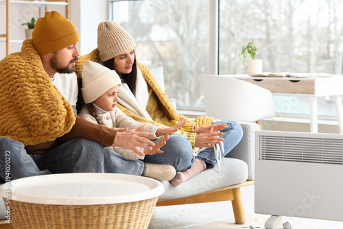 Frozen family with plaid wa...