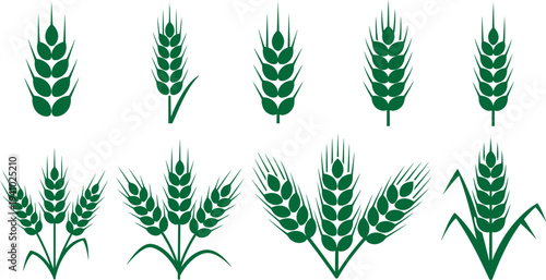 Illustration of various green wheat ears on white background