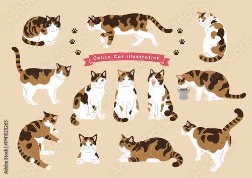 Calico cat character set with different poses