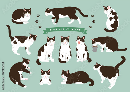 Set of black and white cat characters in various poses