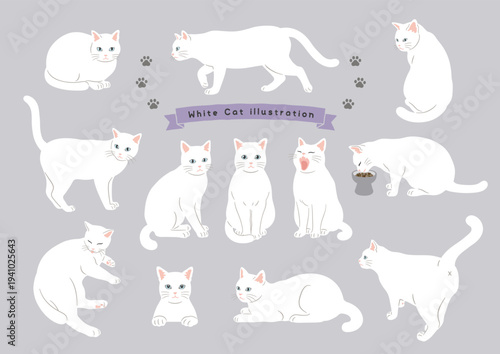 White cat character set in various poses