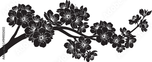 Black and white cherry blossom branch illustration