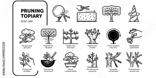 Pruning Topiary Bold Line Icons-Topiary Ball Box Hedge Spiral Topiary Cloud Pruning Pleached Tree Espalier Pollard Crown Reduction Deadheading-15 Pruning Icon Set Vector - Topiary Icons