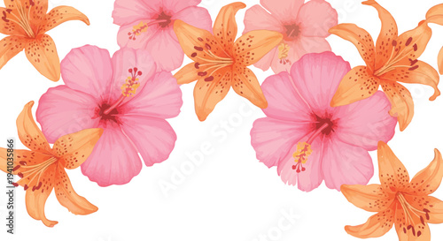 Lush summer floral vector background with vibrant pink hibiscus and striking orange lily blooms, creating a beautiful decorative border, perfect for invitations, cards, and tropical-themed designs