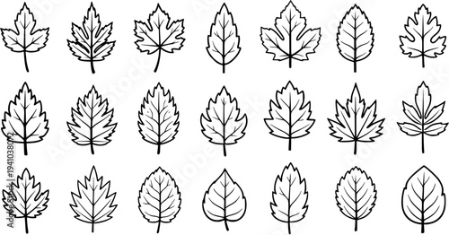 Nature and Botany Black and White Line Art Leaves Vector Set. Outline hand-drawn foliage icons collection for plants, trees, and seasonal designs.