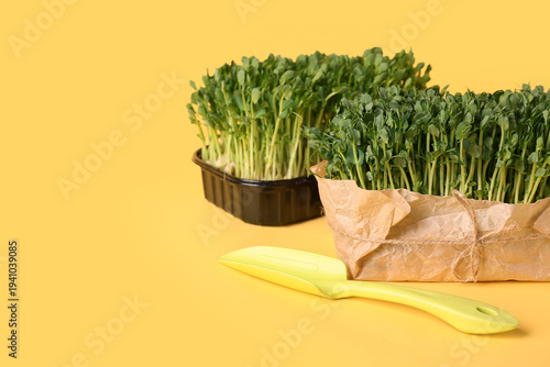 Containers with fresh micro green and shovel on yellow background