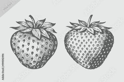Hand drawn fruit strawberry vintage engraving style fruits and berries set, vector illustration