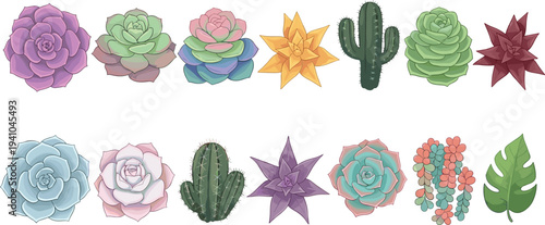 Colorful succulent and cactus plant collection with decorative desert houseplants isolated vector illustration set for botanical garden design