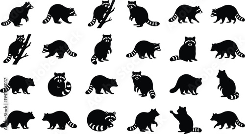 Raccoon silhouette collection with various poses sitting climbing walking isolated vector illustration set for wildlife animal design