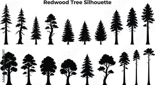 Redwood Tree Silhouette Collection with Various Forest Pine and Cedar Trees Vector Nature Illustration Set Isolated