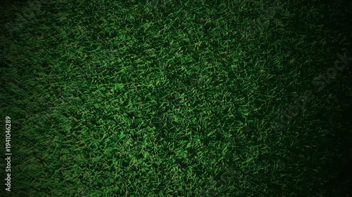 WindSwept Meadow Aerial Cinemagraph  4K Seamless Loop