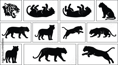 Tiger Silhouette Collection with Roaring Walking Sitting and Jumping Big Cat Wildlife Animal Vector Illustration Set