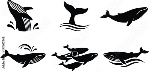 Whale silhouette collection with jumping swimming and tail splash poses isolated vector illustration set for ocean wildlife design