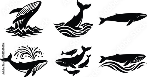 Whale silhouette collection with jumping swimming tail splash and family group isolated vector illustration set for ocean wildlife design