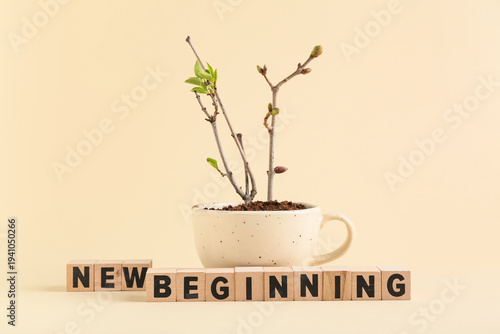 Cubes with text NEW BEGINNI...