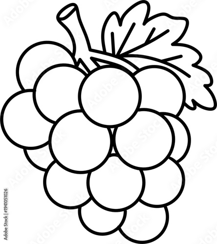 Fruit drawing kids art