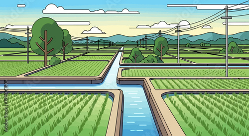 Vast Green Rice Paddies and Irrigation Canals in a Serene Rural Landscape with Mountains and Power Lines