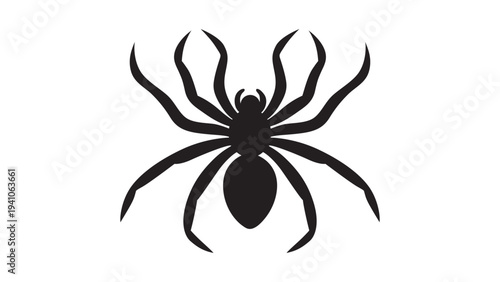 Black spider silhouette, close up spider, isolated scary big spider, poisonous insect, arachnophobia background, spider vector icon .