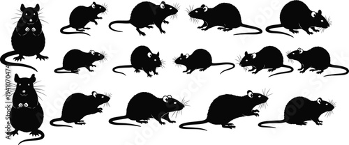 Rat silhouette illustration, mouse collection artwork, rodent animal design, whiskers detail drawing, wildlife study silhouette, black and white artistic depiction