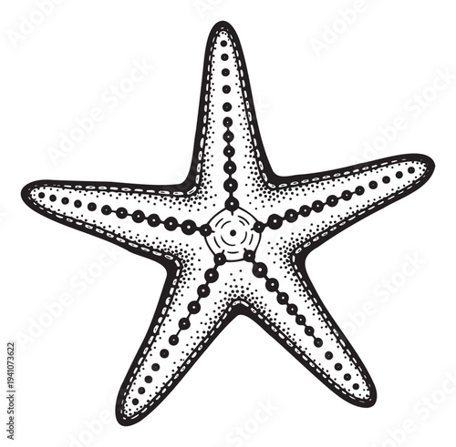 A stylized marine starfish drawing with dotted texture is perfect for nautical themed invitations, underwater life educational materials, or ocean inspired graphic projects and prints