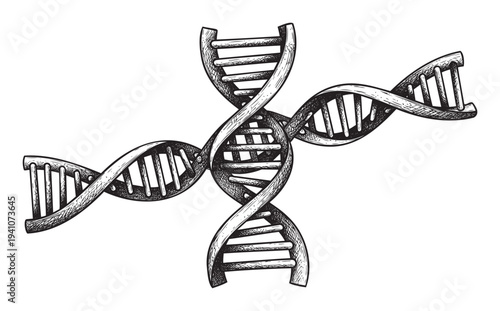 Hand drawn style diagram of multiple interconnected DNA sequences symbolizing heredity and genomic studies perfect for educational charts and laboratory branding.