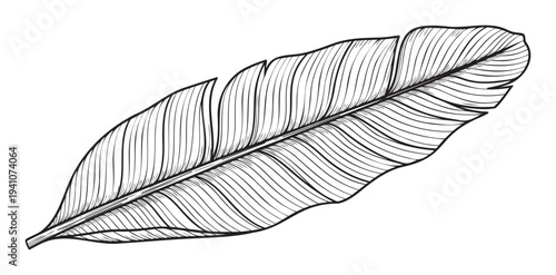 Ornate hand drawn black outline of a delicate bird feather, ideal for incorporating into tranquil nature themes, spiritual concepts, or elegant graphic design projects requiring a peaceful
