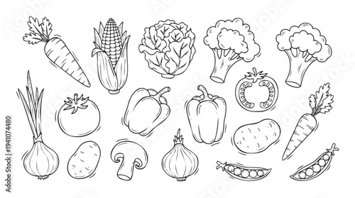 Collection of fresh organic vegetables in a simple handdrawn doodle style, perfect for cooking websites, healthy food promotions, and educational projects.
