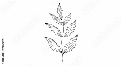Elegant botanical line art drawing of a delicate plant stem with leaves on white background.