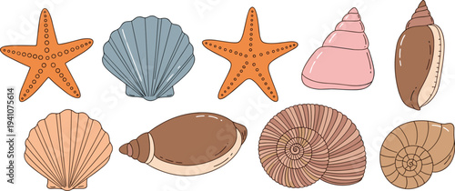 Seashells and starfish, marine life illustration, colorful shells, ocean theme, beach decor, coastal artwork, aquatic design, vibrant collection, sea pattern, nature graphic