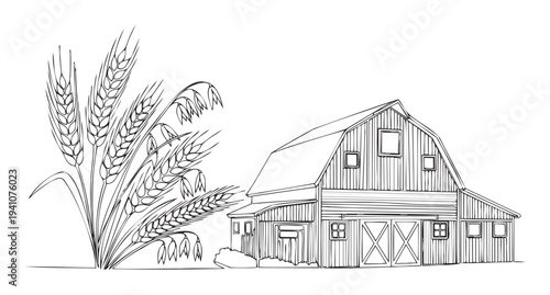 Line drawing of a traditional farm barn with various cereal grain crops like wheat and oats, perfect for agricultural themed educational materials and packaging designs.