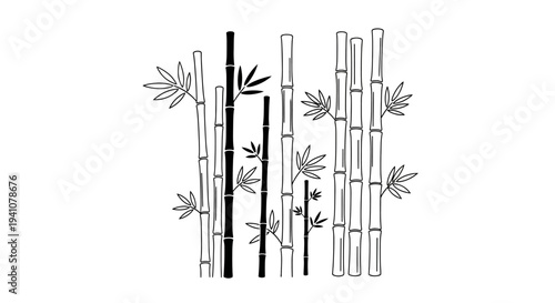 Bamboo stalks and leaves illustration.