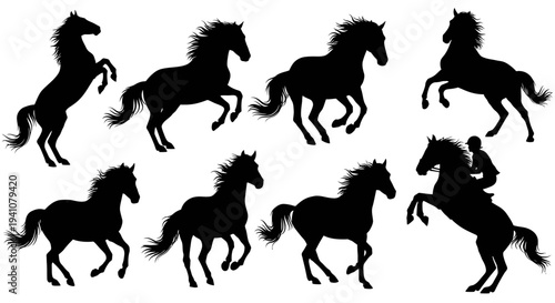 Collection of rearing and walking horse silhouettes on transparent background