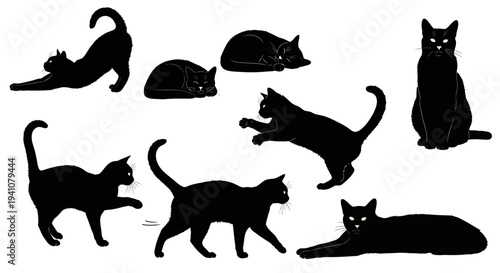 Collection of black cat silhouettes in various poses on transparent background