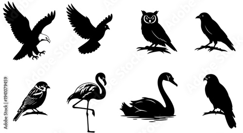 Variety of bird silhouettes including eagles owls and swans on transparent background
