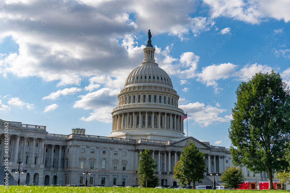 Fototapeta premium Capitol dome as symbol of law. Washington monument architecture. Washington DC. US Senate. Federal government in the nation capital. USA symbol. American capital city