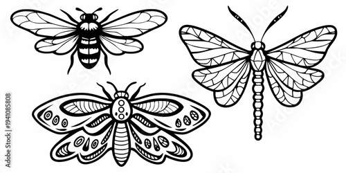 Detailed black and white illustrations of a bee butterfly and dragonfly