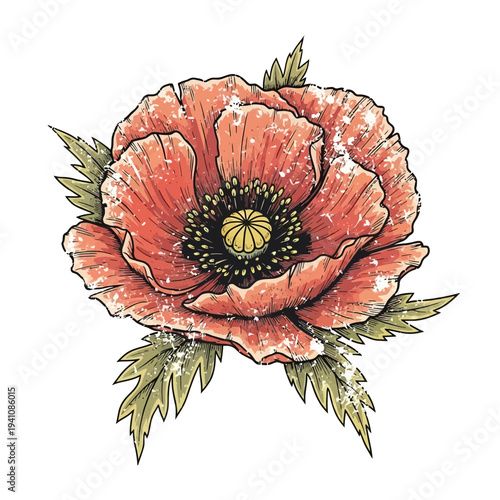 Red poppy flower illustration with textured petals and green leaves
