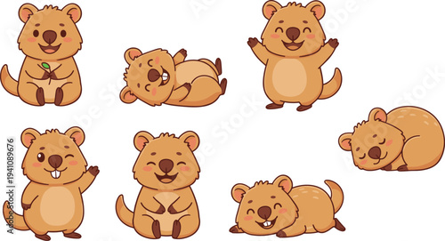Quokka faces and poses on white background quokkas smiling happy cute