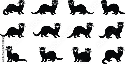 Black ferret silhouettes on white background ferrets