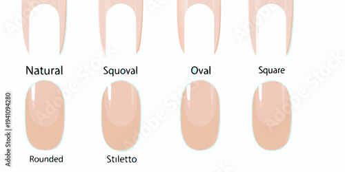 Illustration displaying various artificial nail shapes and their names