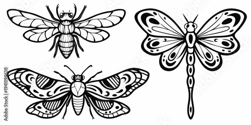 Intricate black and white illustration of a bee dragonfly and moth