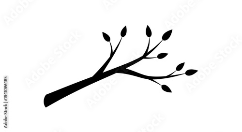 Black silhouette of a tree branch.