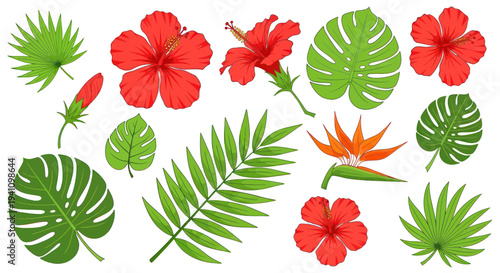 Tropical Flowers and Leaves Set: Hibiscus, Bird of Paradise, Palm, Monstera