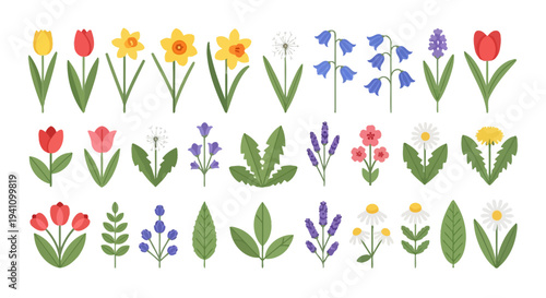 Spring Flower Collection: Tulips, Daffodils, Bluebells, Daisies, Lavender, Dandelions