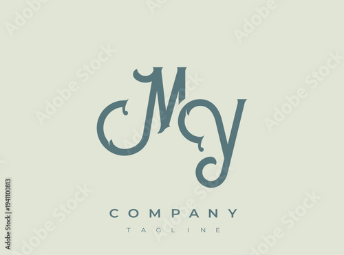 Elegant company logo design template with custom typography and branding elements