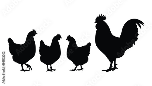 A rooster and three hens standing in a row