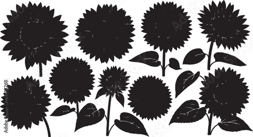 Black Silhouette of Sunflowers on White Background Illustration Art