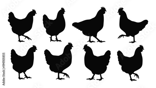 A group of black chicken silhouettes standing