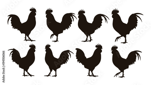A group of roosters standing in different positions