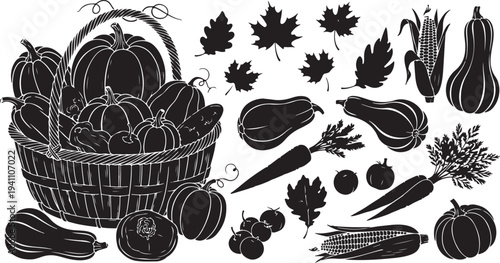 Black and white illustration of autumn vegetables and pumpkins